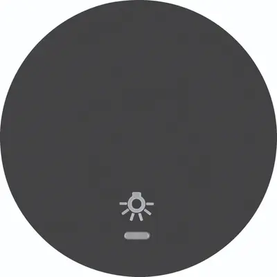 Hager Berker schakelwip controlevenster symbool licht R1/R3 zwart (WLW1332BG)