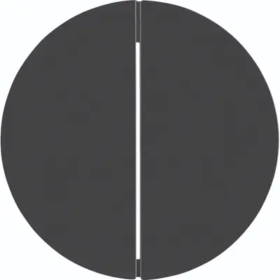 Hager Berker schakelwip 2-voudig R1/R3 zwart (WLW2010BG)