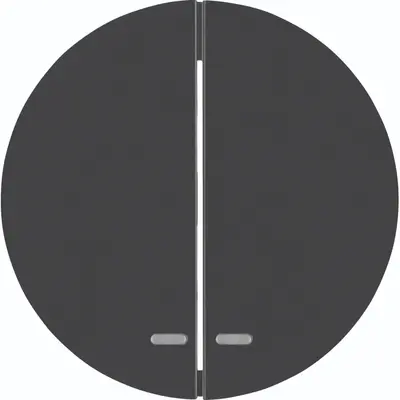 Hager Berker schakelwip 2-voudig controlevenster R1/R3 zwart (WLW2300BG)