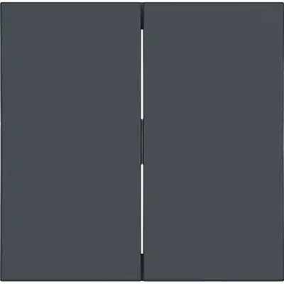 Hager Berker schakelwip 2-voudig A1/A8/C1/C8 antraciet mat (WAW2000AT)