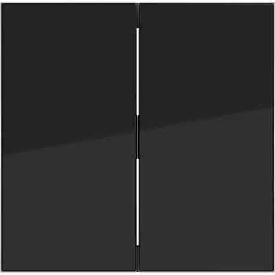 Hager Berker schakelwip 2-voudig A1/A8/C1/C8 nachtzwart glans (WAW2000BG)