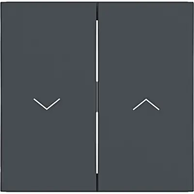 Hager Berker wip 2v n pijlsymbool antr. (WAW2001AT)