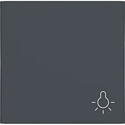 Hager Berker schakelwip met lichtsymbool A1/A8/C1/C8 antraciet mat (WAW1012AT)