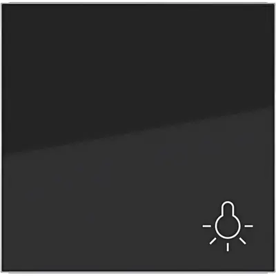 Hager Berker wip 1v lichtsymb. zw.gl. (WAW1012BG)