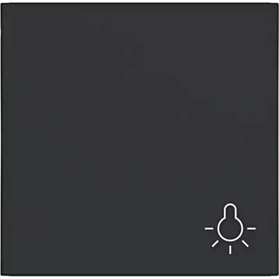 Hager Berker schakelwip met lichtsymbool A1/A8/C1/C8 nachtzwart mat (WAW1012BM)