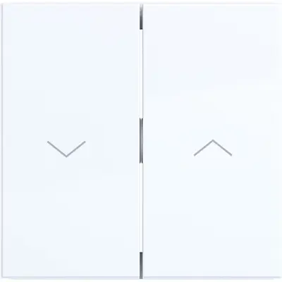 Hager Berker wip 2v n pijlsymbool wt.gl. (WAW2001WG)