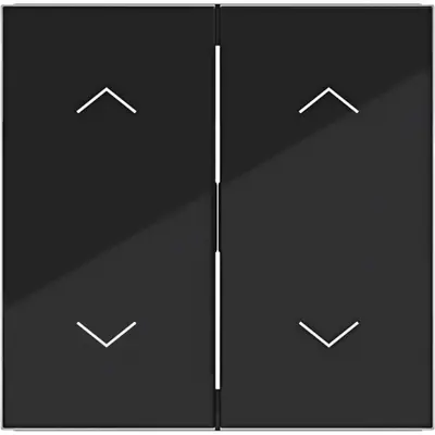 Hager Berker wip 2v twee pijlsymb. zw.gl. (WAW2002BG)