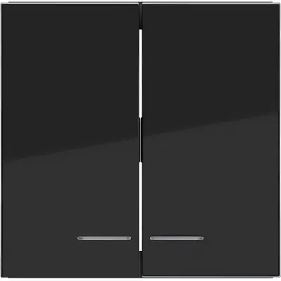 Hager Berker schakelwip 2-voudig controlevenster A1/A8/C1/C8 nachtzwart glans (WAW2031BG)