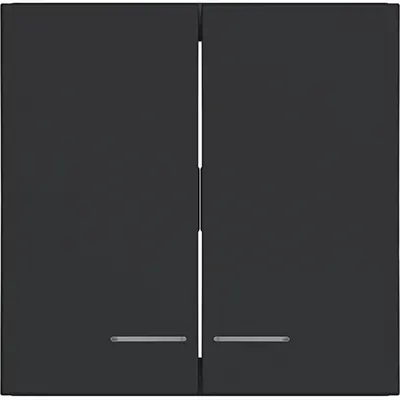 Hager Berker schakelwip 2-voudig controlevenster A1/A8/C1/C8 nachtzwart mat (WAW2031BM)