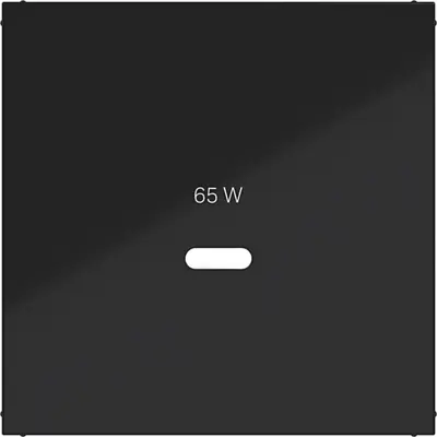 Hager Berker cpl usb-c-contactds zw gl (WAF1511BG)