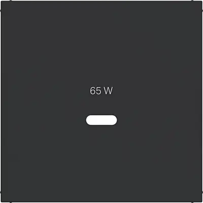 Hager Berker cpl usb-c-contactds zw m (WAF1511BM)