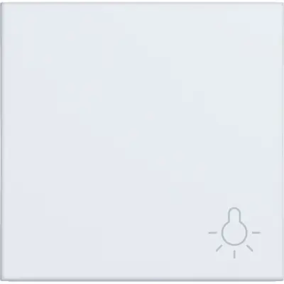 Hager Berker wip 1v lichtsymb. wt.mt. (WAW1012WM)