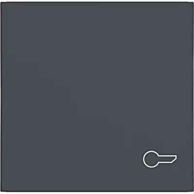 Hager Berker schakelwip met sleutelsymbool A1/A8/C1/C8 antraciet mat (WAW1013AT)