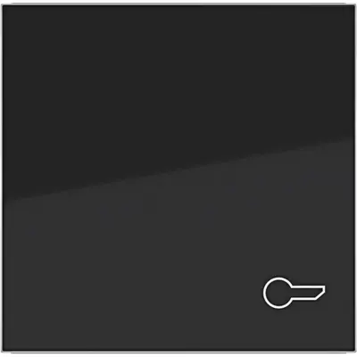 Hager Berker wip 1v deuropenersymb. zw.gl. (WAW1013BG)