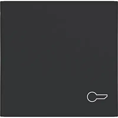 Hager Berker schakelwip met sleutelsymbool A1/A8/C1/C8 nachtzwart mat (WAW1013BM)