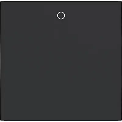 Hager Berker schakelwip met opdruk 0 A1/A8/C1/C8 nachtzwart mat (WAW1014BM)