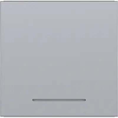 Hager Berker schakelwip controlevenster A1/A8/C1/C8 titaan (WAW1031TA)