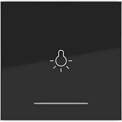 Hager Berker wip 1v lichtsymb. zw.gl. (WAW1032BG)