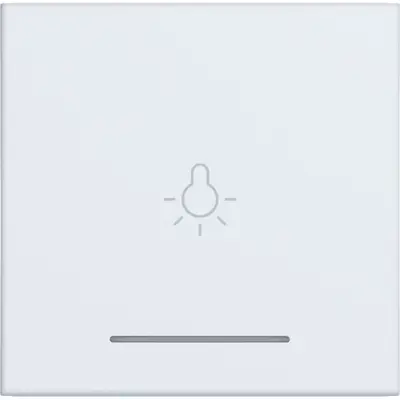 Hager Berker wip 1v lichtsymb. wt.mt. (WAW1032WM)