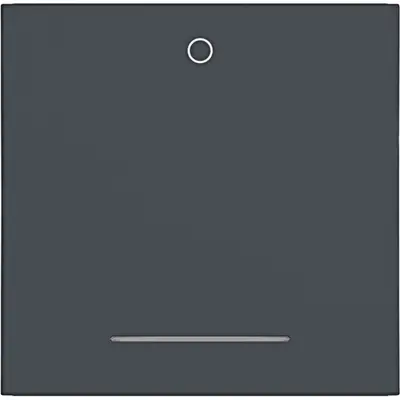 Hager Berker wip 1v inchinch0inchinch held. (WAW1034AT)