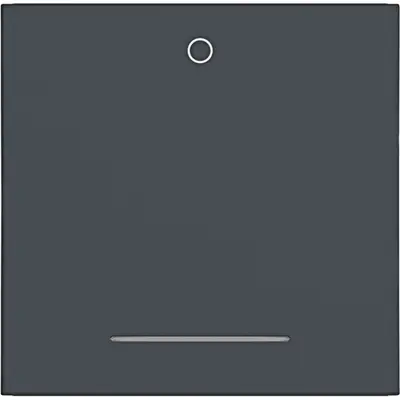 Hager Berker wip 1v inchinch0inchinch held. (WAW1034BM)