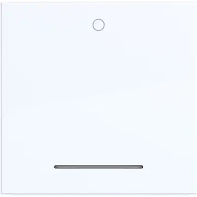 Hager Berker wip 1v inchinch0inchinch held. (WAW1034WG)