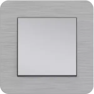 Berker C8 aluminium geborsteld