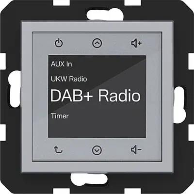 Hager Berker radio touch DAB+ A1/A8/C1/C8 titaan (WAN6011TA)