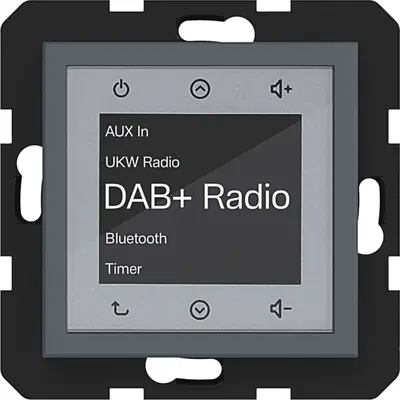 Hager Berker radio touch DAB+ met Bluetooth A1/A8/C1/C8 antraciet mat (WAN6111AT)