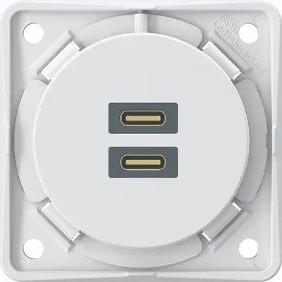 Berker wandcontactdoos usb c+c pd wt (926302509)
