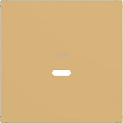 Hager Berker cpl usb-c-cont ds hazel mat (WAF1511C02)