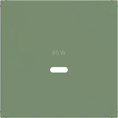 Hager Berker cpl usb-c-cont ds aloe mat (WAF1511C04)