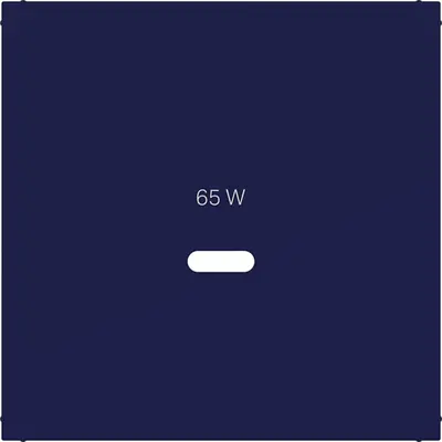 Hager Berker cpl usb-c-cont ds ocean hg (WAF1511C06)