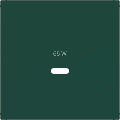 Hager Berker cpl usb-c-cont ds jade hg (WAF1511C07)