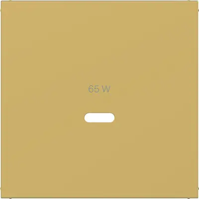 Hager Berker cpl usb-c-cont ds gold metalic (WAF1511C08)
