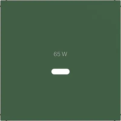 Hager Berker cpl usb-c-cont ds forest mat (WAF1511C10)