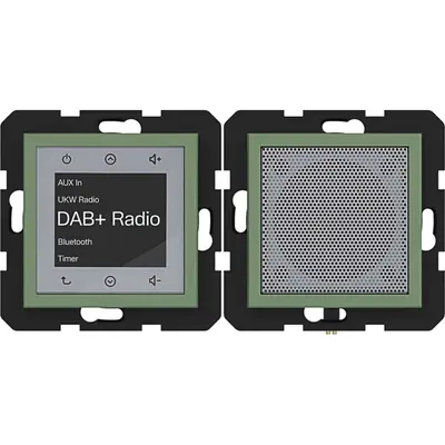 Hager Berker radio dab+ bt ls aloe mat (WAN6110C04)