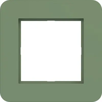 Hager Berker afd raam 1v aloe mat (WAD9100C04)