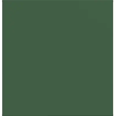 Hager Berker cpl knx taster 1v forest mat (WAK7011C10)