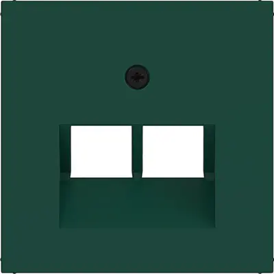 Hager Berker cpl datadoos 2v jade halfgl (WAF1108C07)