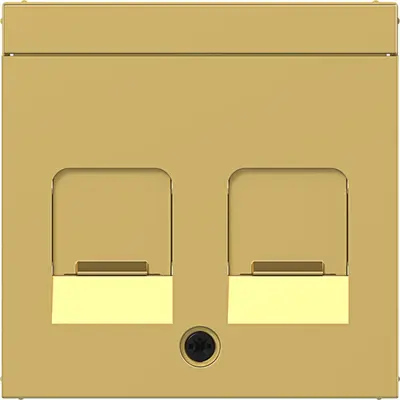 Hager Berker cpl keystone 2v tekstv gold m (WAF1161C08)