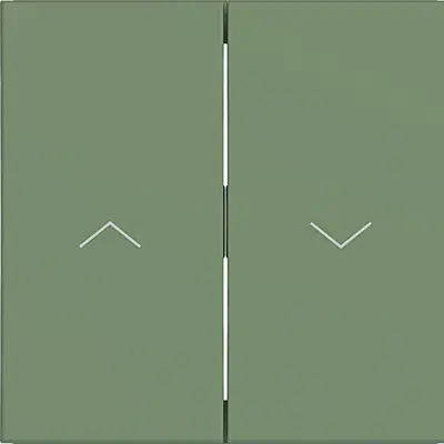 Hager Berker wip 2v 1pijl aloe mat (WAW2001C04)