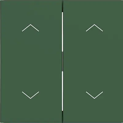 Hager Berker wip 2v 2pijl forest mat (WAW2002C10)