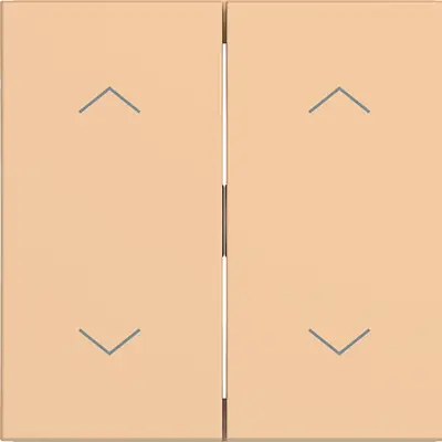 Hager Berker wip 2v 2pijl petal mat (WAW2002C12)