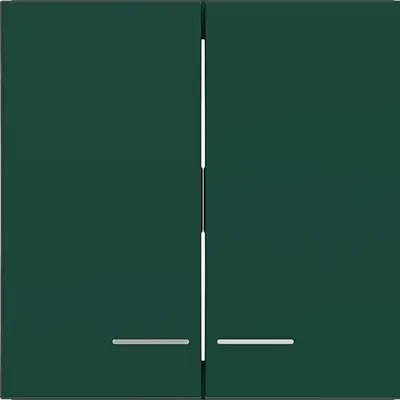 Hager Berker wip 2v heldere lens jade hg (WAW2031C07)