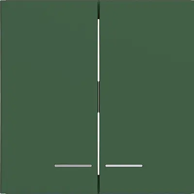 Hager Berker wip 2v heldere lens forest mat (WAW2031C10)