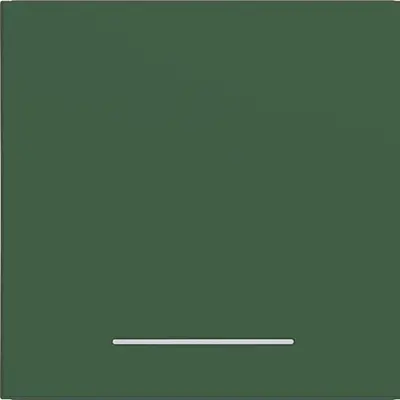 Hager Berker wip 1v heldere lens forest mat (WAW1031C10)