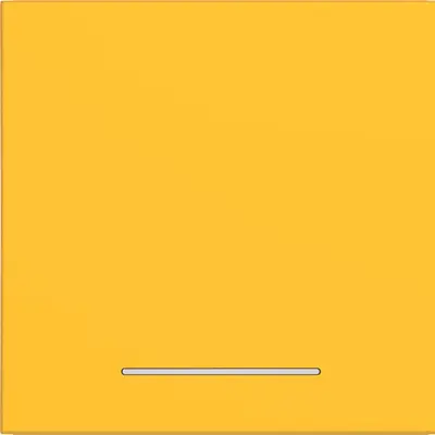 Hager Berker wip 1v lens helder saffron mat (WAW1031C16)