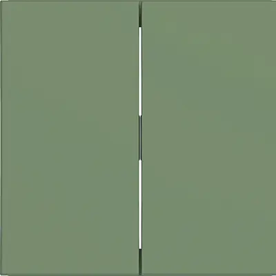Hager Berker wip 2v aloe mat (WAW2000C04)
