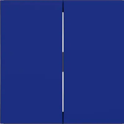 Hager Berker wip 2v cobalt mat (WAW2000C14)
